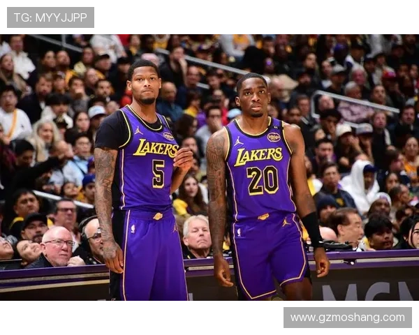 詹姆斯重返洛杉矶湖人领衔新赛季阵容，湖人能否再创辉煌引发热议